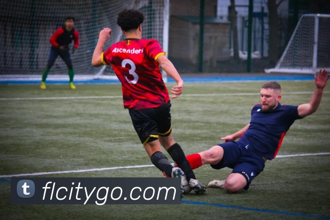 富丽新城官网发展历程